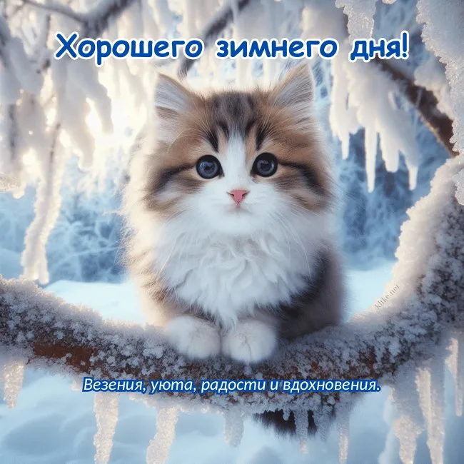 С Добрым зимним днем. Красивые картинки с пожеланием хорошего зимнего дня