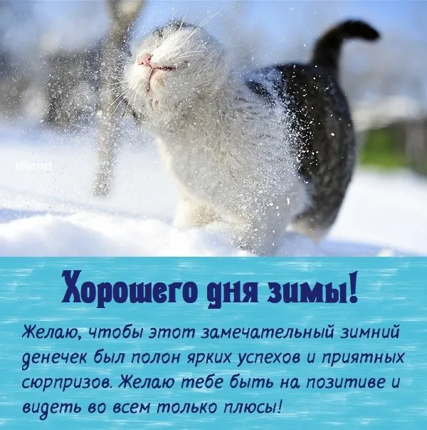 С Добрым зимним днем. Красивые картинки с пожеланием хорошего зимнего дня