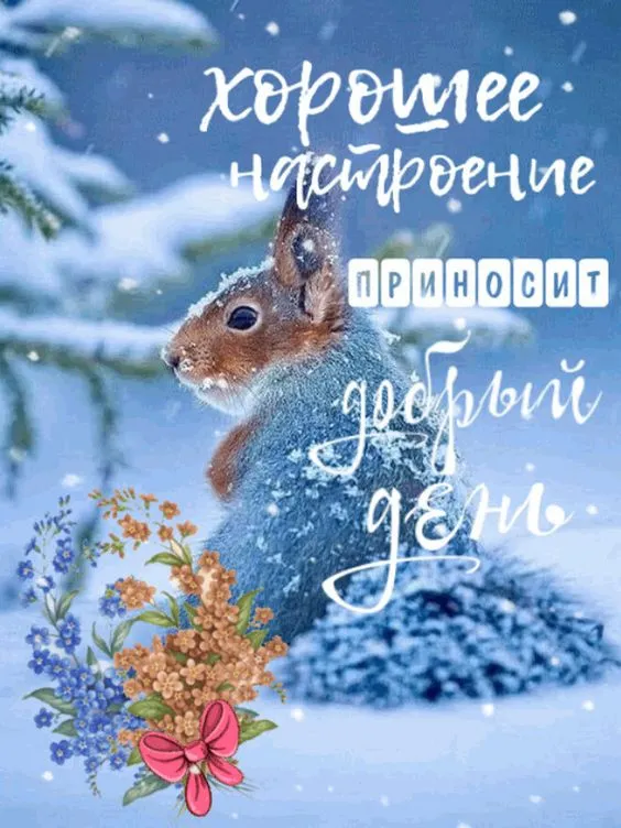 Картинки Доброго зимнего дня и хорошего настроения. Картинки с пожеланиями Доброго зимнего дня