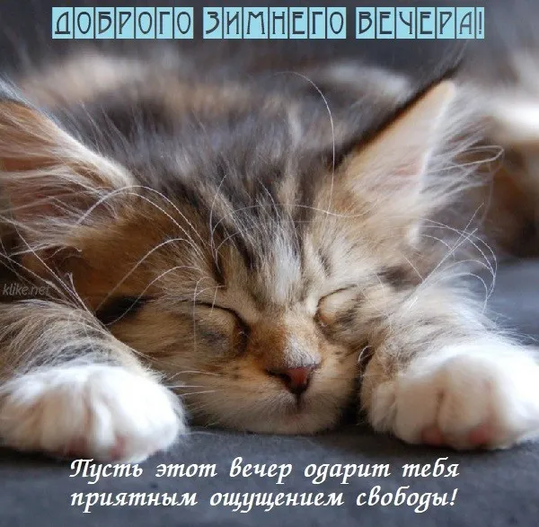 Красивые картинки "Добрый зимний вечер". Красивые картинки с пожеланием доброго зимнего вечера