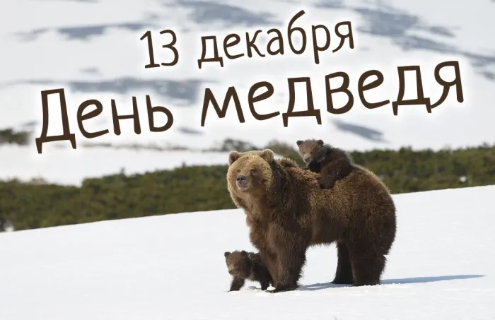 Картинки и открытки с Днем медведя. Красивые открытки с Днем медведя