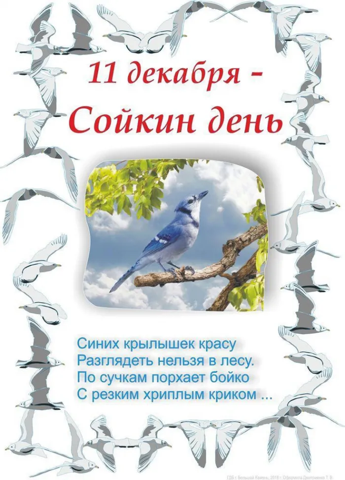 Сойкин день 11 декабря 2023 (20 картинок и открыток). Красивые открытки Сойкин день