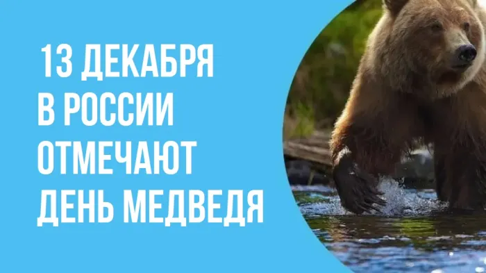 Картинки и открытки с Днем медведя. Красивые открытки с Днем медведя