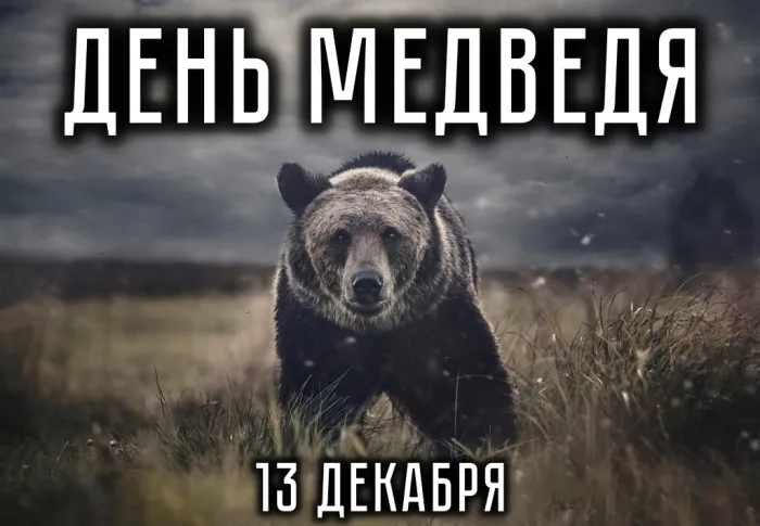 Картинки и открытки с Днем медведя. Красивые открытки с Днем медведя