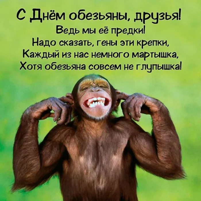 Картинки и открытки с Днем обезьян. Красивые открытки с Днем обезьян