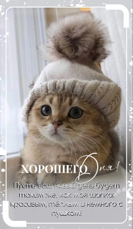 Картинки Доброго зимнего дня и хорошего настроения. Картинки с пожеланиями Доброго зимнего дня