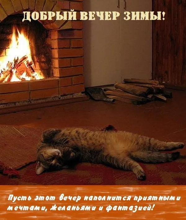 Красивые картинки "Добрый зимний вечер". Красивые картинки с пожеланием доброго зимнего вечера