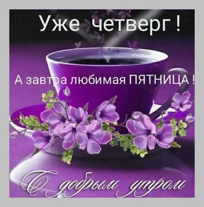 Картинки с добрым зимним утром четверга. Красивые картинки с добрым зимним утром четверга