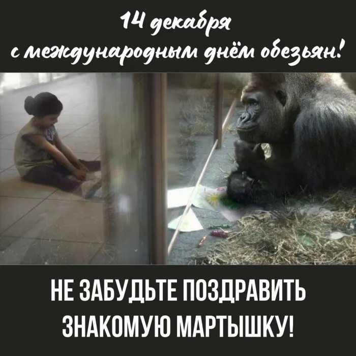 Картинки и открытки с Днем обезьян. День обезьян - прикольные картинки