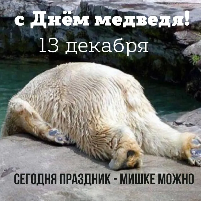 Картинки и открытки с Днем медведя. Прикольные картинки с Днём медведя