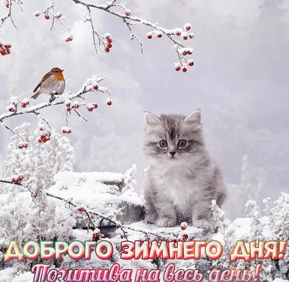 С Добрым зимним днем. Красивые картинки с пожеланием хорошего зимнего дня