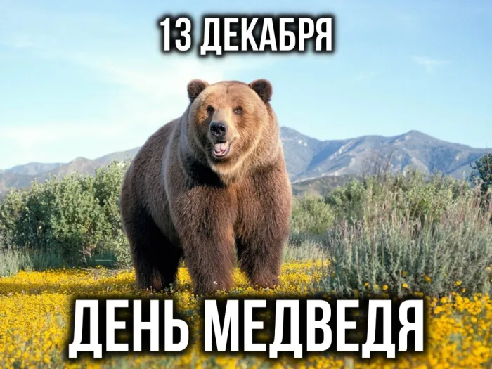 Картинки и открытки с Днем медведя. Красивые открытки с Днем медведя