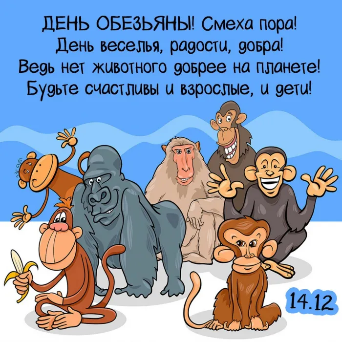 Картинки и открытки с Днем обезьян. Красивые открытки с Днем обезьян