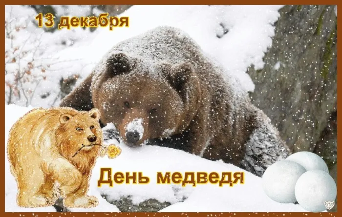 Картинки и открытки с Днем медведя. Красивые открытки с Днем медведя