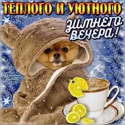 Красивые картинки "Добрый зимний вечер". Красивые картинки с пожеланием доброго зимнего вечера