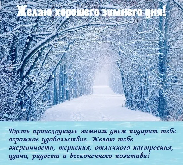 С Добрым зимним днем. Красивые картинки с пожеланием хорошего зимнего дня