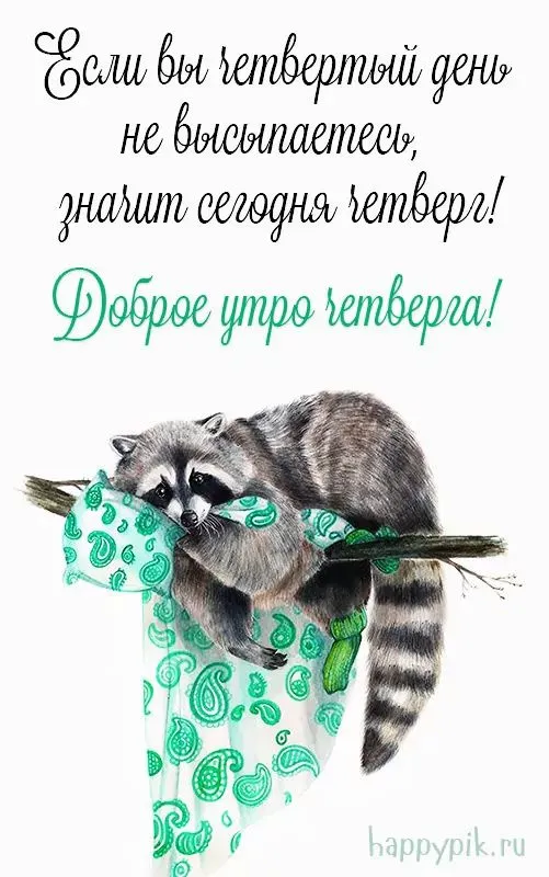 Картинки с добрым зимним утром четверга. Прикольные картинки с добрыми утром четверга