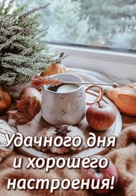 Картинки Доброго зимнего дня и хорошего настроения. Доброго зимнего дня и хорошего настроения — красивые картинки