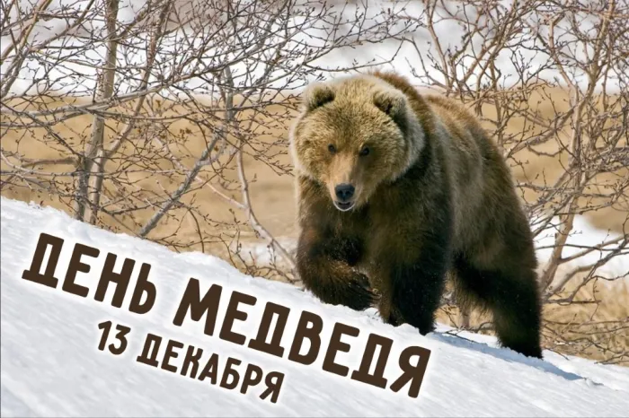 Картинки и открытки с Днем медведя