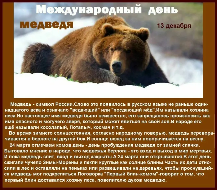 Картинки и открытки с Днем медведя. Картинки с надписями на День медведя