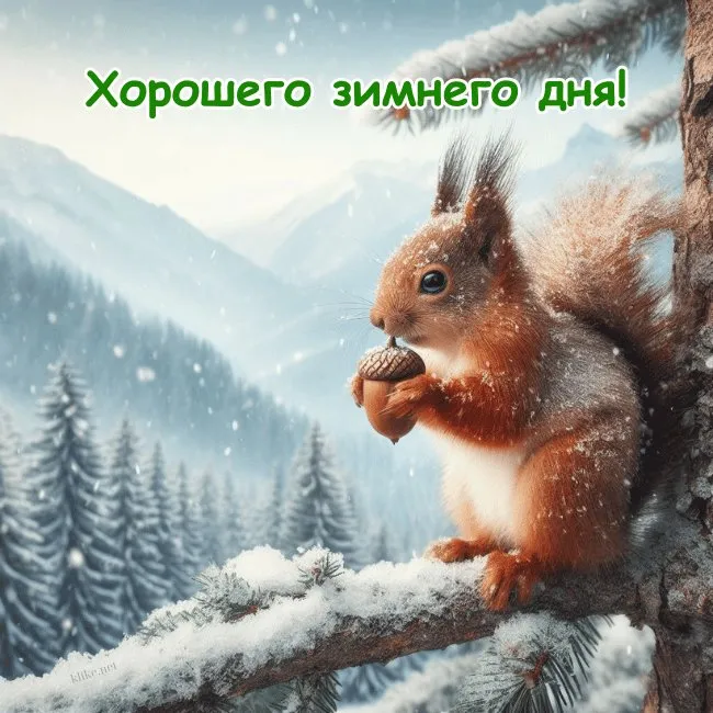 С Добрым зимним днем. Красивые картинки с пожеланием хорошего зимнего дня