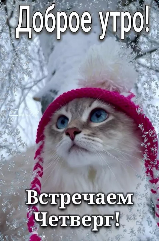 Картинки с добрым зимним утром четверга. Красивые картинки с добрым зимним утром четверга