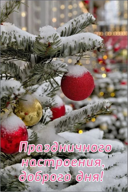 Картинки Доброго зимнего дня и хорошего настроения. Доброго зимнего дня и хорошего настроения — красивые картинки