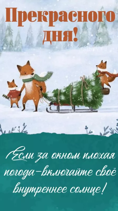 Картинки Доброго зимнего дня и хорошего настроения. Доброго зимнего дня — позитивные картинки&nbsp;