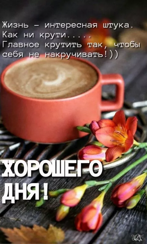 Картинки Доброго зимнего дня и хорошего настроения. Доброго зимнего дня — позитивные картинки&nbsp;