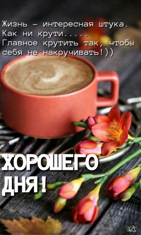 Картинки Доброго зимнего дня и хорошего настроения. Доброго зимнего дня — позитивные картинки&nbsp;