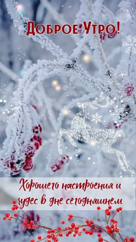 Зимние картинки С добрым утром. Картинки Доброе утро — зимние с пожеланиями