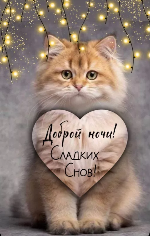 Зимние картинки "Доброй ночи". Красивые зимние картинки Доброй ночи