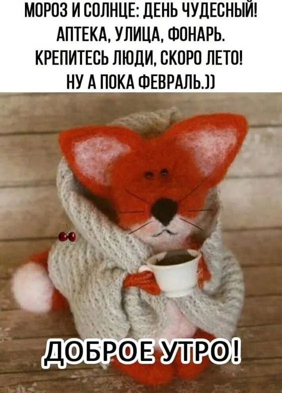 Красивые картинки Доброе утро февраля. С добрым утром Февраля - прикольные картинки