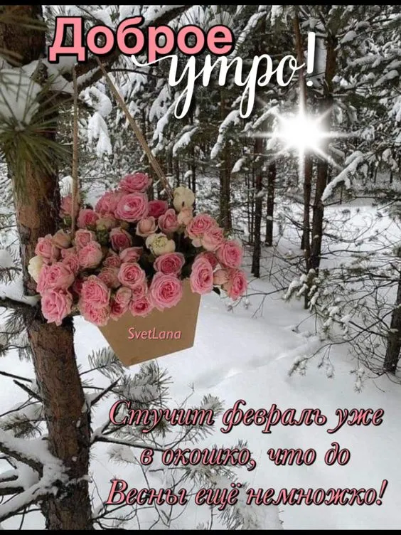 Красивые картинки Доброе утро февраля. Картинки Доброе утро февраля с пожеланиями