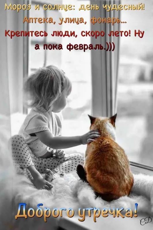 Красивые картинки Доброе утро февраля. С добрым утром Февраля - прикольные картинки