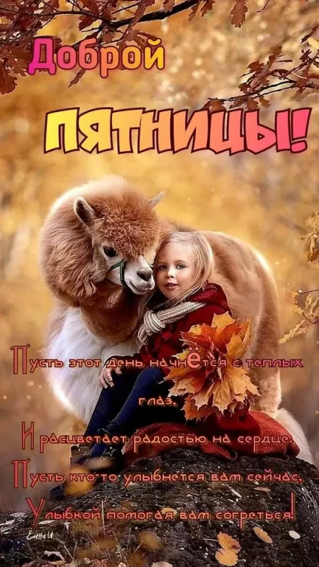 С Пятницей — картинки красивые. &nbsp;Позитивные красивые картинки "Пятница" с надписями