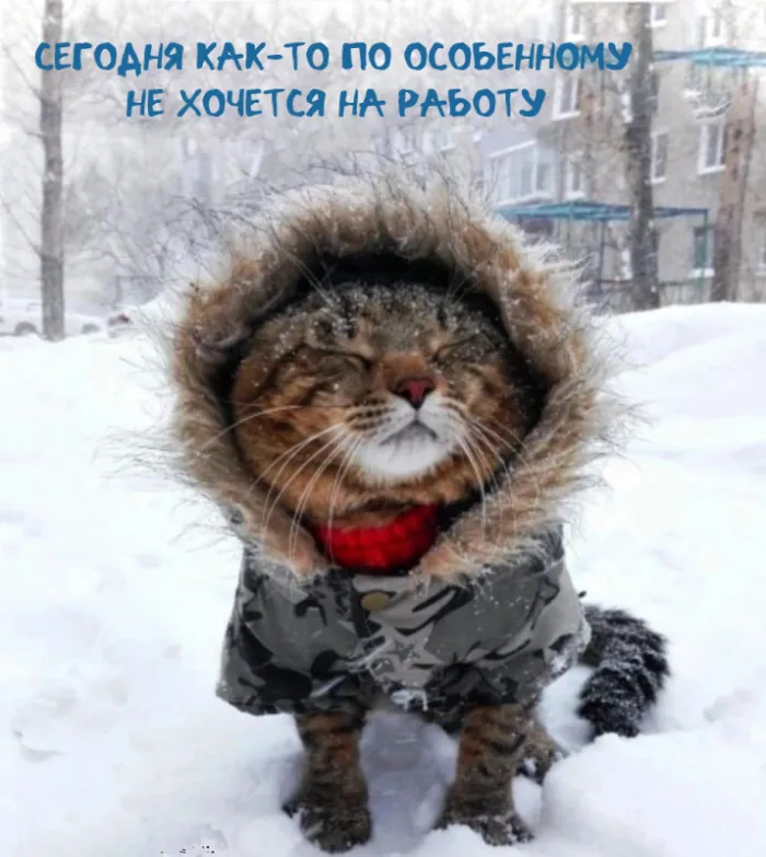 Картинки на тему "Работа". Картинки на тему "Работа" зимние
