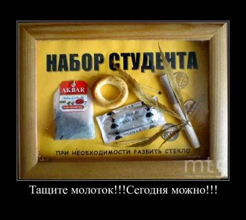 Прикольные картинки на День студента. Прикольные картинки на День студента