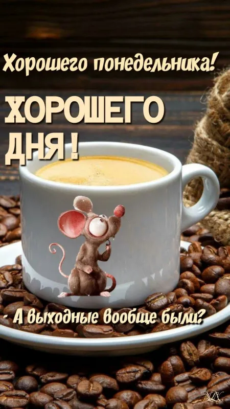 Картинки Доброе утро понедельника. Картинки Доброе утро, хорошего понедельника