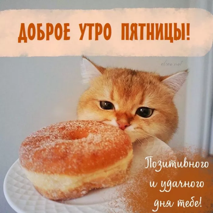 С Пятницей — картинки красивые. Красивые картинки Доброе утро пятницы