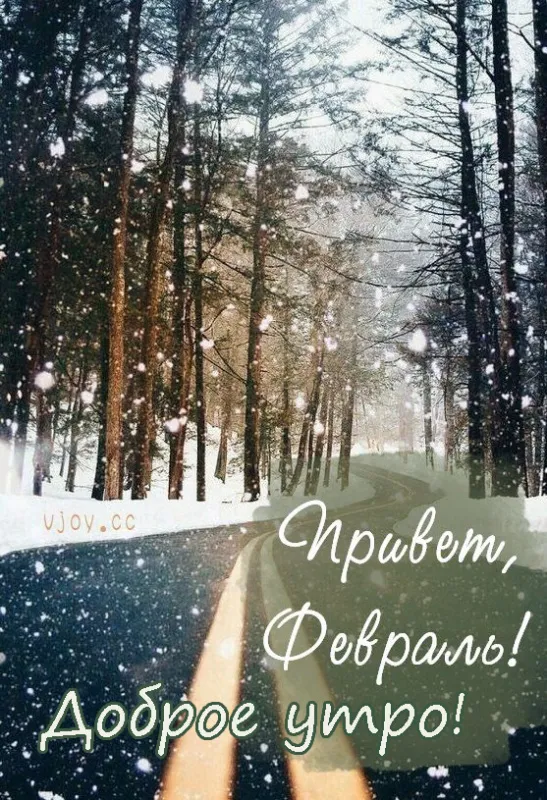 Красивые картинки Доброе утро февраля. Доброе утро февраля: красивые картинки
