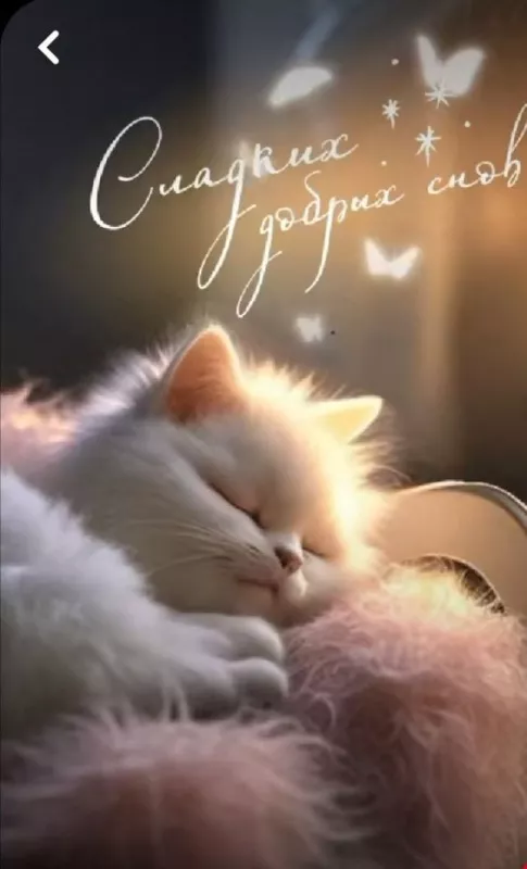Зимние картинки "Доброй ночи". Красивые зимние картинки Доброй ночи