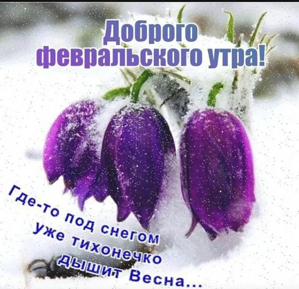 Красивые картинки Доброе утро февраля