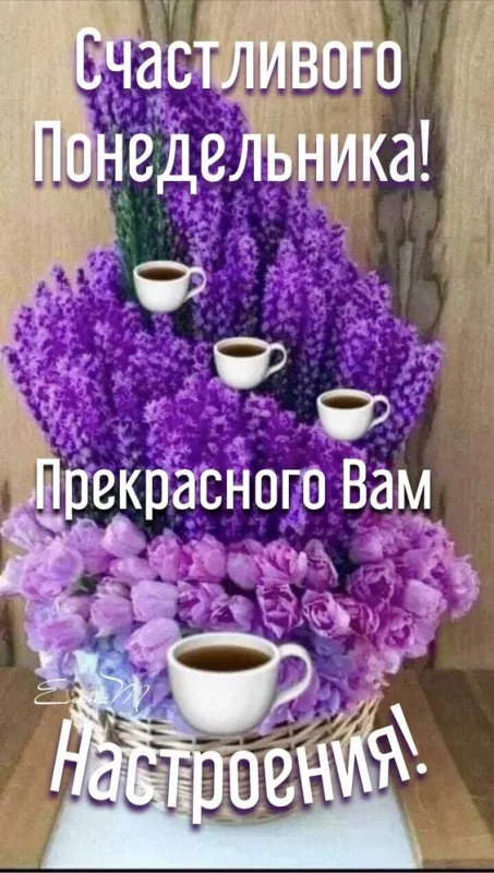 Картинки Доброго понедельника. Доброго понедельника красивые картинки