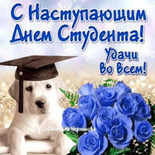 Прикольные картинки на День студента. Прикольные картинки на День студента