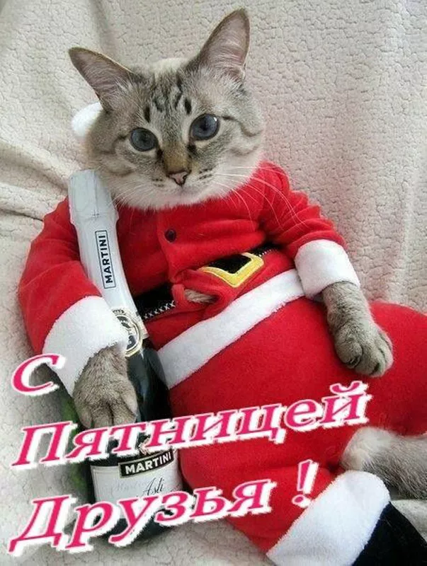 С Пятницей — картинки красивые. С пятницей - картинки зимние красивые