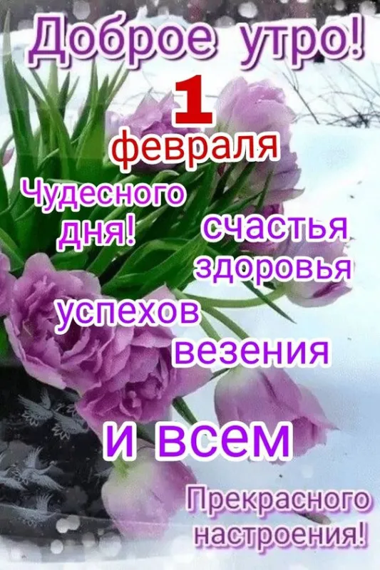 Красивые картинки Доброе утро февраля. Картинки Доброе утро 1 февраля
