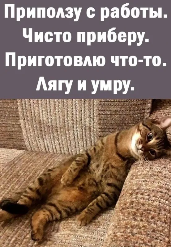 Картинки на тему "Работа". Картинки на тему "Работа" прикольные