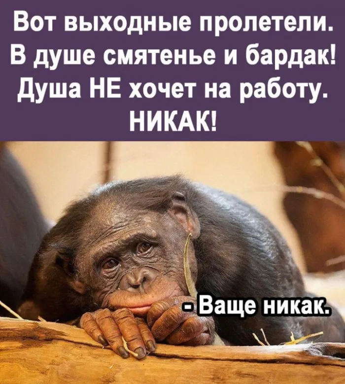 Картинки Доброго понедельника. Доброго понедельника прикольные картинки