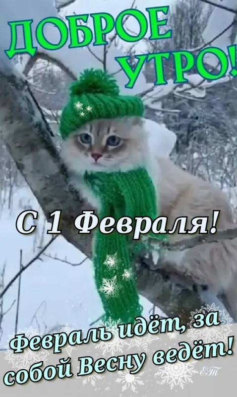 Красивые картинки Доброе утро февраля. Картинки Доброе утро 1 февраля